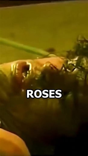 15K views · 341 reactions | Jimi Hendrix turned Woodstock into a spiritual event, bending sound and emotion like no one before him. His short life burned bright, leaving behind riffs that still inspire decades later. Slash brought pure rock swagger to Guns N’ Roses, with solos that made arenas explode and helped sell over 100 million albums worldwide. Hendrix changed the game. Slash kept the fire alive. Two icons. One question. Who’s the wilder guitar hero? | Panama Kinal | Facebook