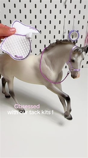 DIY Tack Tutorial: Create Your Own Unique Tack Kits!