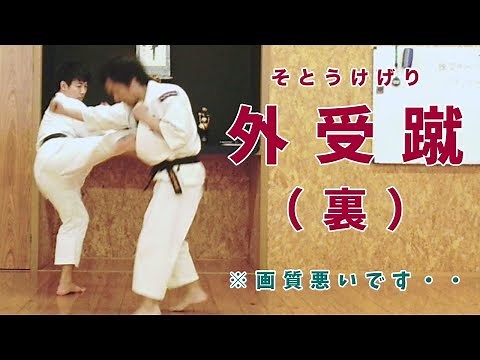 武道 格闘技 習い事 「 外受蹴（裏） 」 掛川市