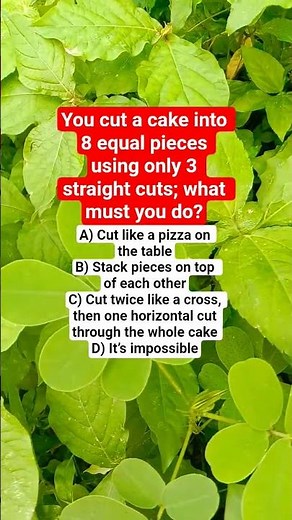 You cut a cake into 8 equal pieces using only 3 straight cuts; what must you do?