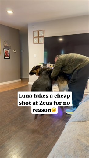 Luna decides to take a cheap shot at Zeus for no reason😡