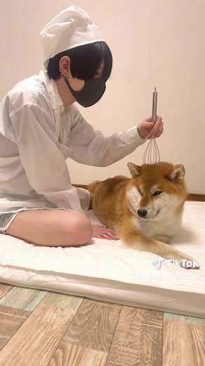 食べた人を見たことない今話題の｢親ガチャサンド｣作りました。#和風総分家 #グルメ