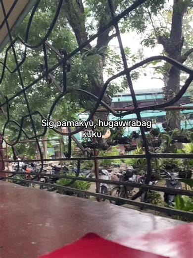 Bisaya Savage Lines and Words Explained