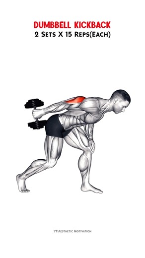 5 Killer Tricep Workouts for Massive Arms 🔥#workout #tricepsworkout