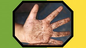 28K views · 110 reactions | We put together some terrific tips to help stop germs from spreading. Please share this video with any children in your life who might be looking for fun ways to keep their germs to themselves! | Mystery Science | Facebook