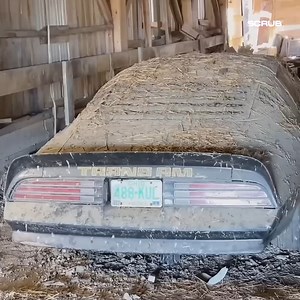 2.7M views · 40K reactions | 1978 Smokey and The Bandit Trans AM Found! #detailing #carwash #carcleaning #satisfying #oddlysatisfying #satisfyingvideos #steamcleaning #carseat #cardetailing #detailingcars #valeting #carvaleting #detailingworld #detailingaddicts #detailingboost #carwashing #interiordetailing | Scrub | Facebook
