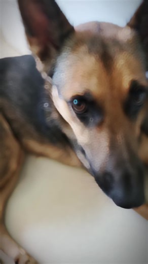 Sin # para que nadie lo vea XD