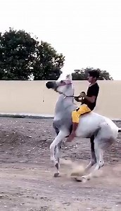 6.1M views · 78K shares | Nova tecnica de montaria | Ronaldo Maia de Lima | Facebook