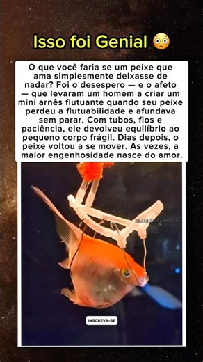 Como Um Arnês Fez Um Peixe Voltar a Nadar? ❤️