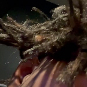 Auburn Alabama check in 😂😂😂😂 do anyone live in auburn for tickets click the link below 👇🏾👇🏾👇🏾👇🏾👇🏾👇🏾👇🏾👇🏾👇🏾👇🏾👇🏾👇🏾👇🏾👇🏾👇🏾👇🏾👇🏾 https://www.etix.com/ticket/p/5056257/postponed-to-october-2-kerwin-claiborne--auburn-crown-of-comedy | Kerwin Claiborne