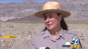 Millions of wildflowers take over Death Valley in first 'super bloom' in decade