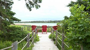 Post-tropical storm Dorian took down 80 per cent of the trees in 2019 and the Cavendish campground sustained about two metres of erosion after the storm. It was closed from then until reopening two weeks ago. Take a look, | CBC Prince Edward Island