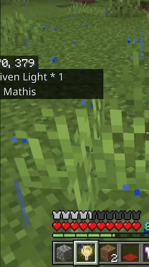 TUTO lumière invisible #minecraft