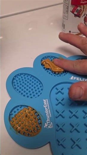 Teaching puppy how to reduce stress