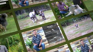 26 reactions | Überlegst Du noch, ob das Online-Training “Beziehung...