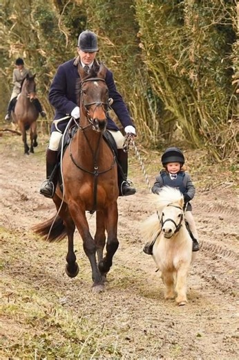 739K views · 23K reactions | Big Adventures, Tiny Hooves! ✨ Nothing says pure joy like a child and their first pony! This little rider is all smiles, ready to conquer the trails side by side with the grown-ups.  Proof that no matter the size, every equestrian carries the heart of a true horseman. ❤️ #TinyHoovesBigDreams #EquestrianLife #PonyAdventures #HorseLovers #TrailRidingJoy #FamilyRides #fblifestyle | Stable Express | Facebook