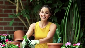 458K views · 13K reactions | "Every Tech Commercial." Yep, this is all of them. | CollegeHumor | Facebook