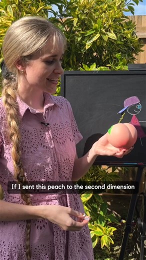Exploring the Fourth Dimension Through a Peach