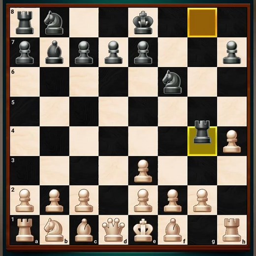 Human vs computer who will win (Chess YT)