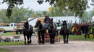 Today at the Old Iron Show and Swap Meet in Eldon, Iowa, a group of southeastern Iowa teamsters used their mules, Haflingers, Suffolks and Percherons to demonstrate horse drawn farming, including road grading, plowing, hay stacking and corn binding. We'll have a full episode on our show on RFD-TV at the end of this year. #ruralheritagemagazine #travelswithjoe #drafthorses #mules | Rural Heritage Magazine