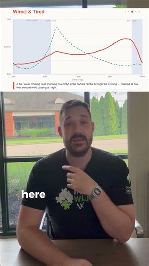 Understanding Your Cortisol Rhythm | The Wellness Way Mason