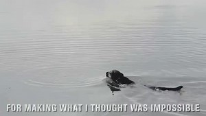 13K views · 421 reactions | Real people telling their real story’s!...