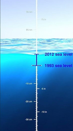 Sea Levels Rising: What Satellites Saw