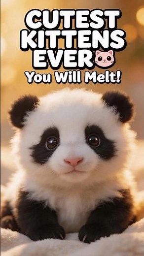 Cutest Baby Kittens Ever 😻 Tiny Fluffy Cats Compilation That Will Melt Your Heart