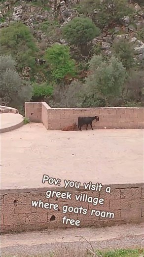 #cosplay #puppy #greece #cute #dog #wildlife #goat #free #forest #crete #hellas