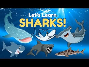 The Ultimate Shark Learning Video for Kids! | Names, Facts, & Fun!