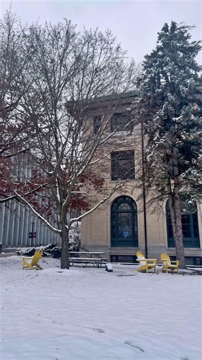 Snowy Campus Scenes | Carnegie Mellon University | 20 comments