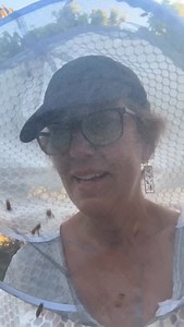 How wonderful that a beekeeper and women’s clothing designer decided to make a women’s beekeeping suit that makes sense and works so well. My god. I’ve never felt so confident around spicy, sassy bees. Jenna York in South Carolina designed these suits and started to have them manufactured just this year. The normal design has three zippers that meet at the throat area with a Velcro flap over them, and I can’t tell you how many determined bees have made it inside my veil over the years. When it h