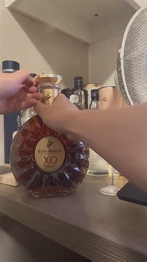 人头马（Remy Martin）XO优质香槟区干邑白兰地500ml*2瓶 艺术家黄宇兴典藏版