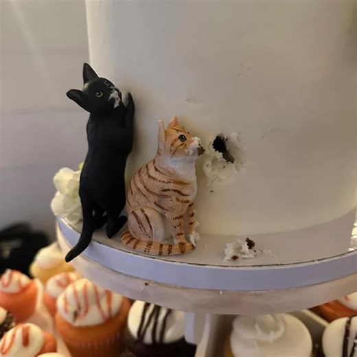 Custom Cat Wedding Cake Topper, Personalized Pet Polymer Clay Figurine Birthday Gift - Etsy