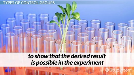 Control Group Definition, Purpose & Examples