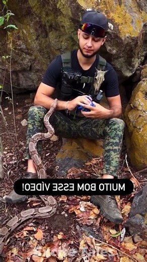 What Experts Hide About Snake Bites in 2025