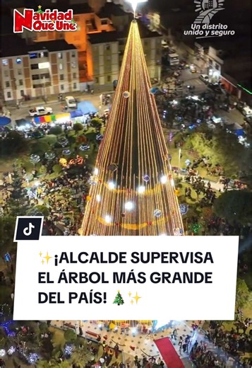 Navidad 2024: Alcalde Niel Zavala Visita Árbol en Tacna