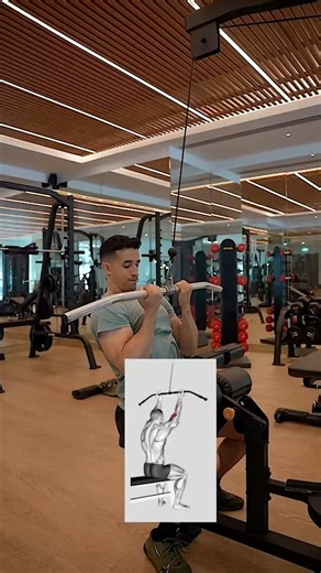 💪💪 | Tibo Inshape