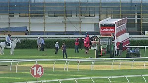 CUNNAMULLA FELLA 💙💛 What an effort with the big weight and wide gate! This Qld stable favourite proved himself to be just too good today making it an exciting win thanks to Mark Du Plessis on board. Well done to his owners & another TeamQLD winner with Rob Heathcote & his team 🏆 #TeamFIRST #FirstLightRacing | First Light Racing