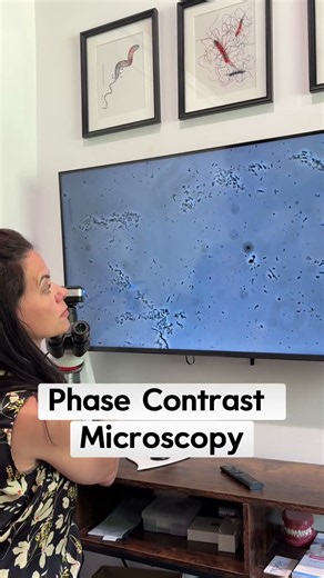 Phase contrast microscopy shows your team the infection in real time
