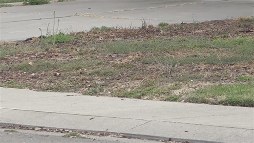 Stockton has launched a neighborhood cleanup initiative in Weston Ranch, focusing on blight and code violations such as trash, abandoned cars, graffiti, and more. | ABC10