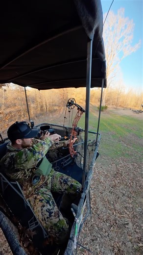 Bow Hunting Wild Hogs From a Blind! #shorts #hunting #bowhunting