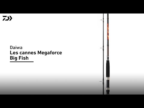 Daiwa | Canne Megaforce Big Fish