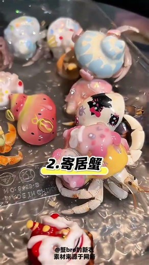 5 Kinds of Desktop Pets that Can t Be Kept alive #Gain knowledge#Girls must