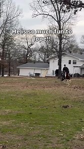 He naturally has a pretty quick lope, so we’ve been working on slowing it down/relaxing more while loping, and he’s getting better and better!! | Talia’s Mustangs