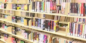 Owatonna Public Library receives grant