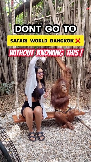 Safari world bangkok - Bangkok safari world zoo and marine park | Safari world bangkok ticket price