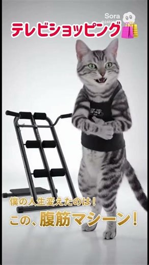 真夜中のテレビショッピング🛍️ #猫のいる暮らし #cat #ai #shorts