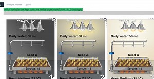 Which variables are kept constant in this experiment? Select AL... | Filo