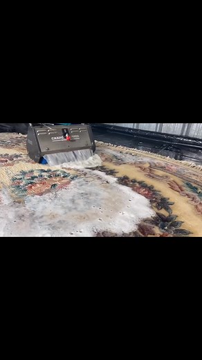 Professional Chinese Carpet Cleaning by Cleanteam